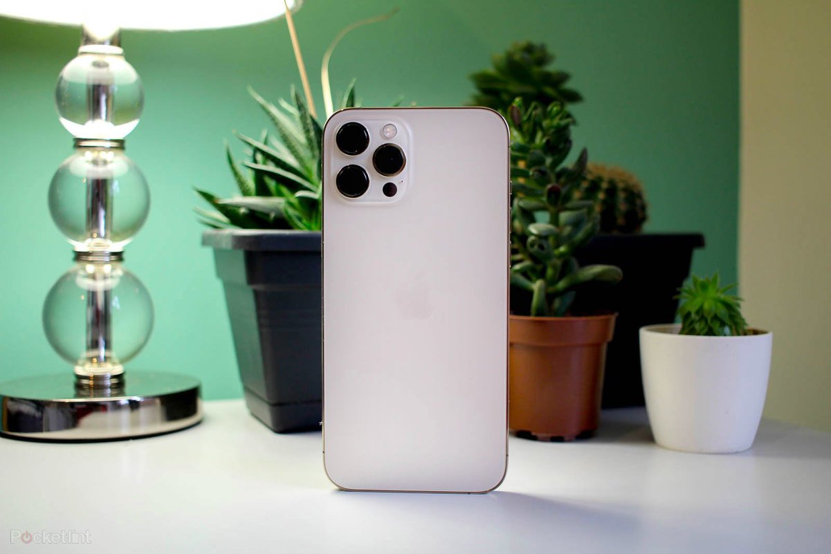 Wise Market Australia